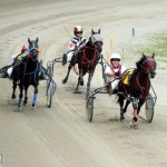 Bermuda Harness Pony Racing 10 Mar (5)
