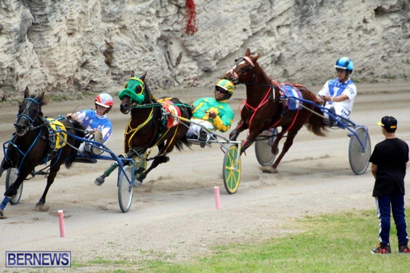 Bermuda-Harness-Pony-Racing-10-Mar-8
