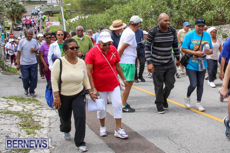 Bermuda-National-Trust-Palm-Sunday-Walk-March-20-2016-115
