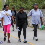 Bermuda National Trust Palm Sunday Walk, March 20 2016-212