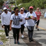 Bermuda National Trust Palm Sunday Walk, March 20 2016-96