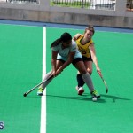Women's Hockey Canaries Vs Budgies Bermuda March 17 2016 (15)