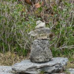 rocks at spittal pond bermuda march 2016 (9)