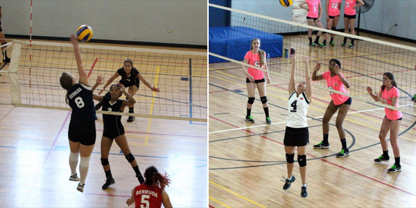 Photos Bermuda Open Volleyball Tournament Bernews