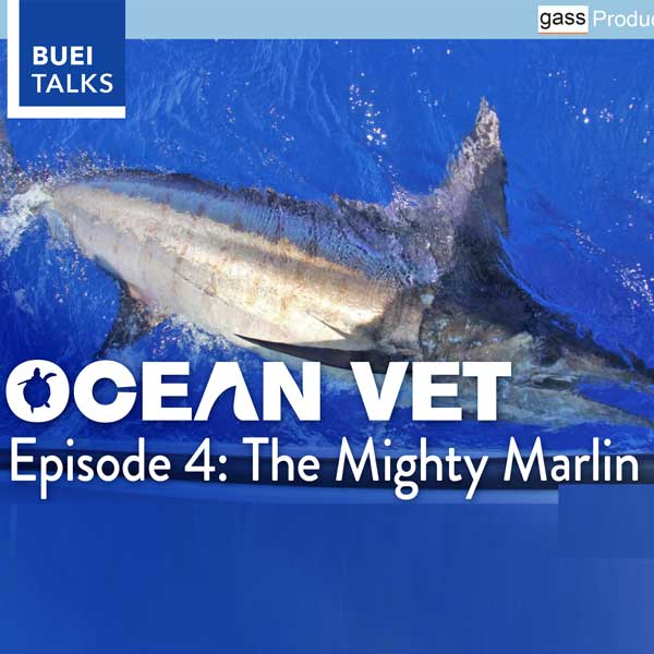 BUEI Talks Series To Screen 'Ocean Vet' Episode Bernews