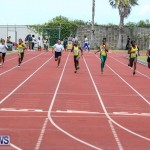 Track & Field Meet Bermuda, April 30 2016-44