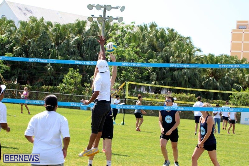 Bermuda-Corporate-Volleyball-Tournament-May-2016-12