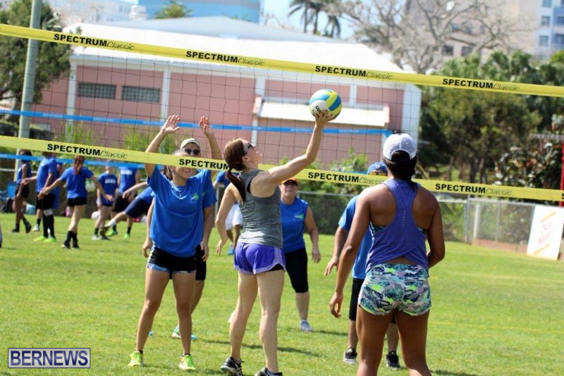 Bermuda-Corporate-Volleyball-Tournament-May-2016-7