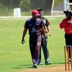 Bermuda Cricket Western Stars - Willow Cuts (1)
