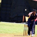 Bermuda Cricket Western Stars - Willow Cuts (15)