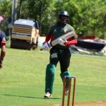 Bermuda Cricket Western Stars - Willow Cuts (16)
