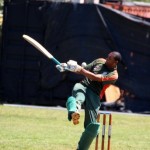 Bermuda Cricket Western Stars - Willow Cuts (18)