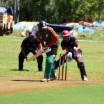 Bermuda Cricket Western Stars - Willow Cuts (5)