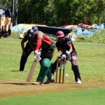 Bermuda Cricket Western Stars - Willow Cuts (6)