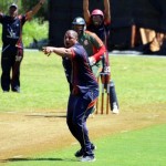 Bermuda Cricket Western Stars - Willow Cuts (9)