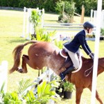 Equestrian Bermuda May 03 2016 (9)