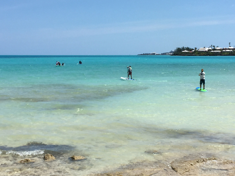 Homeschoolers Cleanup Bermuda May 27 2016 (6)