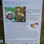 Onion Day at Carter House Bermuda, May 14 2016-23