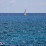 SUP Around The Island Bermuda, May 28 2016-28