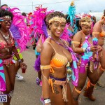 Bermuda Heroes Weekend Parade Of Bands, June 18 2016 (114)