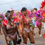 Bermuda Heroes Weekend Parade Of Bands, June 18 2016 (121)