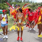 Bermuda Heroes Weekend Parade Of Bands, June 18 2016 (183)
