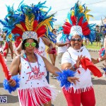 Bermuda Heroes Weekend Parade Of Bands, June 18 2016 (287)