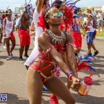 Bermuda Heroes Weekend Parade Of Bands, June 18 2016 (300)