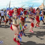 Bermuda Heroes Weekend Parade Of Bands, June 18 2016 (303)