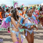 Bermuda Heroes Weekend Parade Of Bands, June 18 2016 (324)