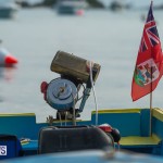 Bermuda Seagull Race June 2016 JM (18)