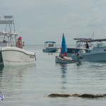 Bermuda Seagull Race June 2016 JM (71)
