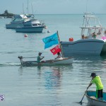 Bermuda Seagull Race June 2016 JM (76)