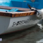 Bermuda Seagull Race June 2016 JM (9)