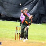 Cricket Western Stars-Southampton Rangers Bermuda June 29 2016 (2)
