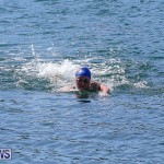 Tokio Millennium Re Triathlon Swim Bermuda, June 12 2016 (11)