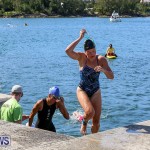 Tokio Millennium Re Triathlon Swim Bermuda, June 12 2016 (21)