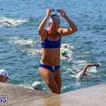 Tokio Millennium Re Triathlon Swim Bermuda, June 12 2016 (82)