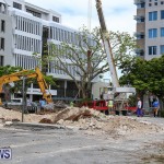 Tree Moving At City Hall Parking Lot Bermuda, June 11 2016-1