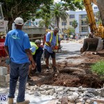 Tree Moving At City Hall Parking Lot Bermuda, June 11 2016-13