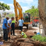Tree Moving At City Hall Parking Lot Bermuda, June 11 2016-15