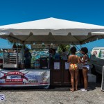 2016 Non Mariners Race Bermuda  (3)