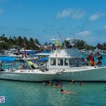 2016 Non Mariners Race Bermuda  (46)