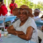 Matilda Smith Family & Friends Fun Day Bermuda, July 14 2016-29