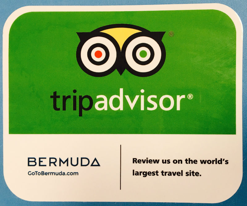 bermuda-trip-advisor