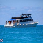 Around The Island Powerboat Race Bermuda, August 14 2016-23