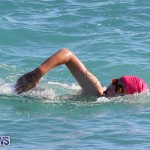 Bermuda National Open Water Championships, September 25 2016-19