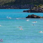 Bermuda National Open Water Championships, September 25 2016-24