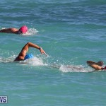 Bermuda National Open Water Championships, September 25 2016-3