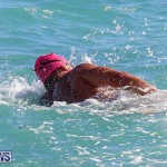 Bermuda National Open Water Championships, September 25 2016-31